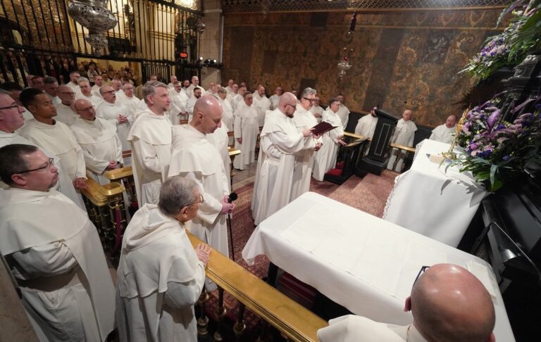 458d374986d5a696ecfded26be3bface